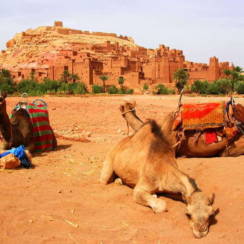 ait ben haddou