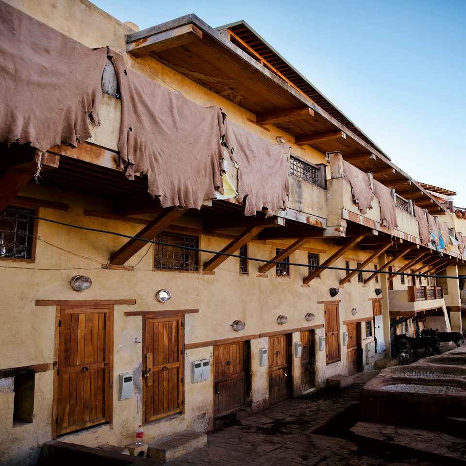 fes leather tanneries