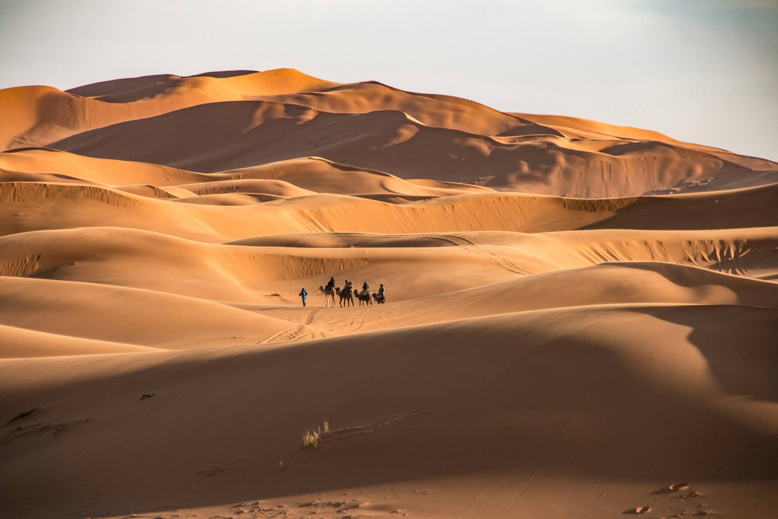 merzouga erg chebbi merzouga erg chebbi