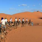 MST desert