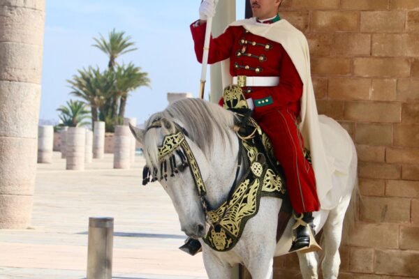 Essaouira to Marrakech Private Tours Copy Copy