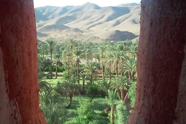 Essaouira to Marrakech Private Tours Copy Copy