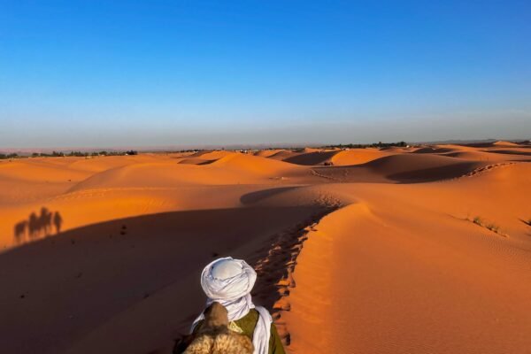 Essaouira to Marrakech Private Tours Copy Copy