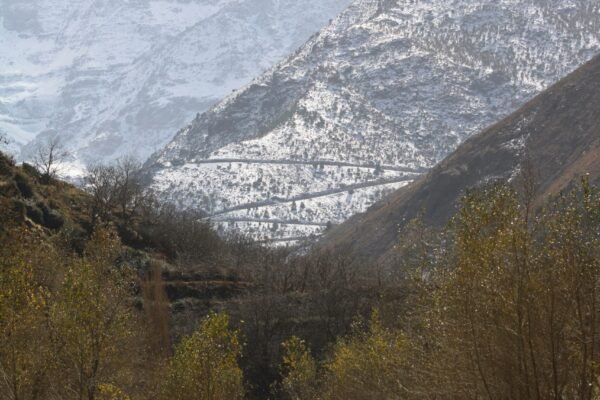 From Marrakech: Imlil & High Atlas Private Day Trip