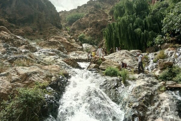 From Marrakech: Imlil & High Atlas Private Day Trip