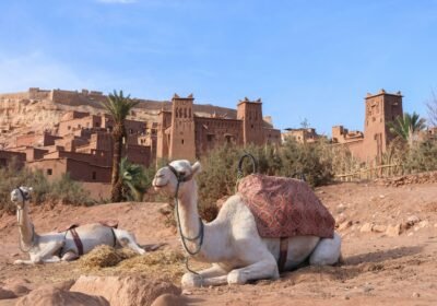 7 Days in Morocco: 3 Realistic Itineraries for First-Time Visitors