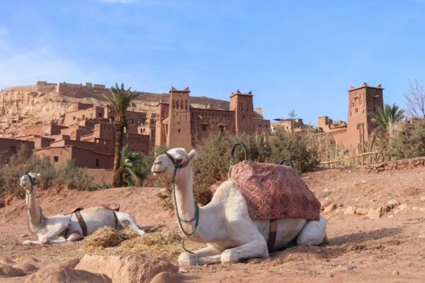 From Marrakech: Aït Ben Haddou & Ouarzazate Private Day Trip