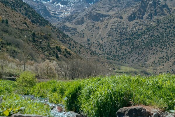 From Marrakech: Imlil & High Atlas Private Day Trip