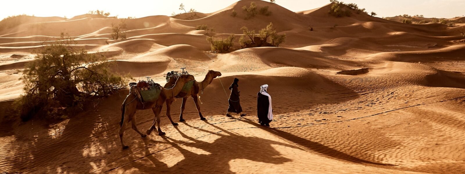 Sahara Desert