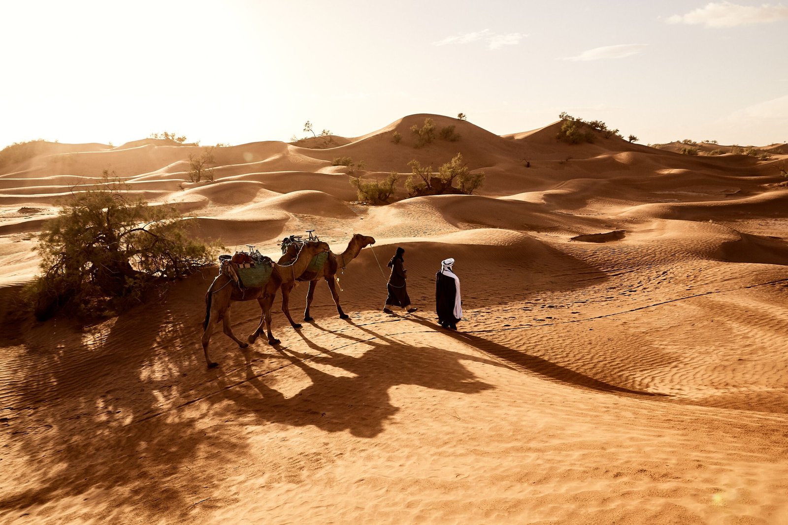 Private Morocco tour through desert and cultural destinations