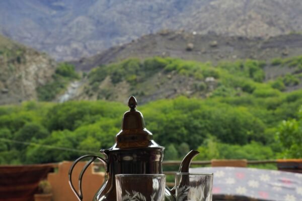 From Marrakech: Imlil & High Atlas Private Day Trip