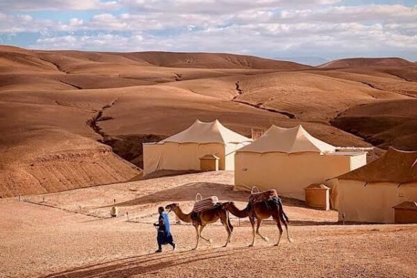From Marrakech: Agafay Desert Private Day Experience
