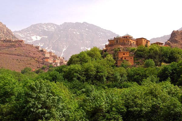 From Marrakech: Imlil & High Atlas Private Day Trip