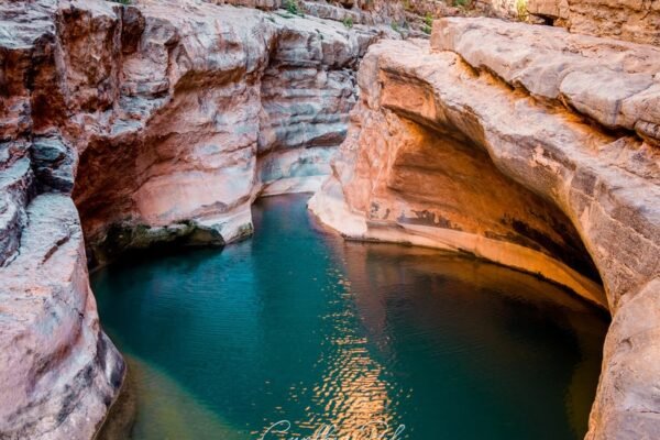 From Agadir: Paradise Valley & Atlas Mountains Private Day Trip