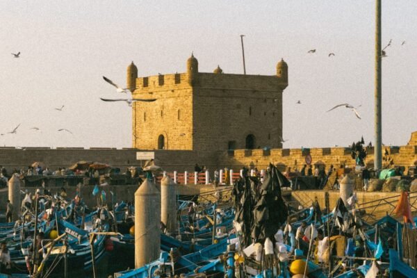 From Marrakech: Essaouira Coastal Private Day Trip
