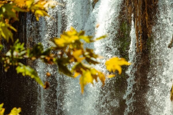 From Marrakech: Ouzoud Waterfalls Private Day Trip