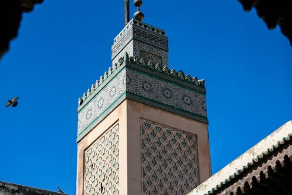 8-Day Marrakech Imperial Cities & Northern Heritage Private Circuit Tour From Marrakech