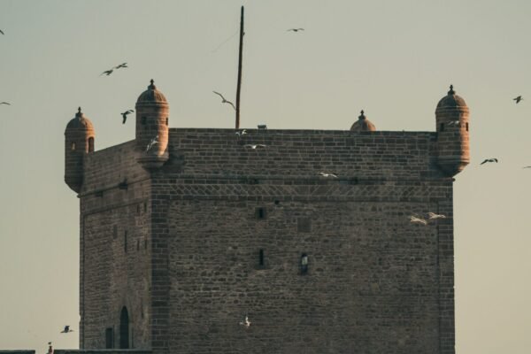From Marrakech: Essaouira Coastal Private Day Trip