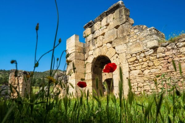 From Fes: Volubilis, Moulay Idriss & Meknes Private Day Trip