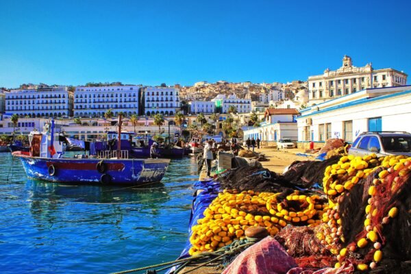 From Tangier: Chefchaouen & Tetouan Private Day Trip