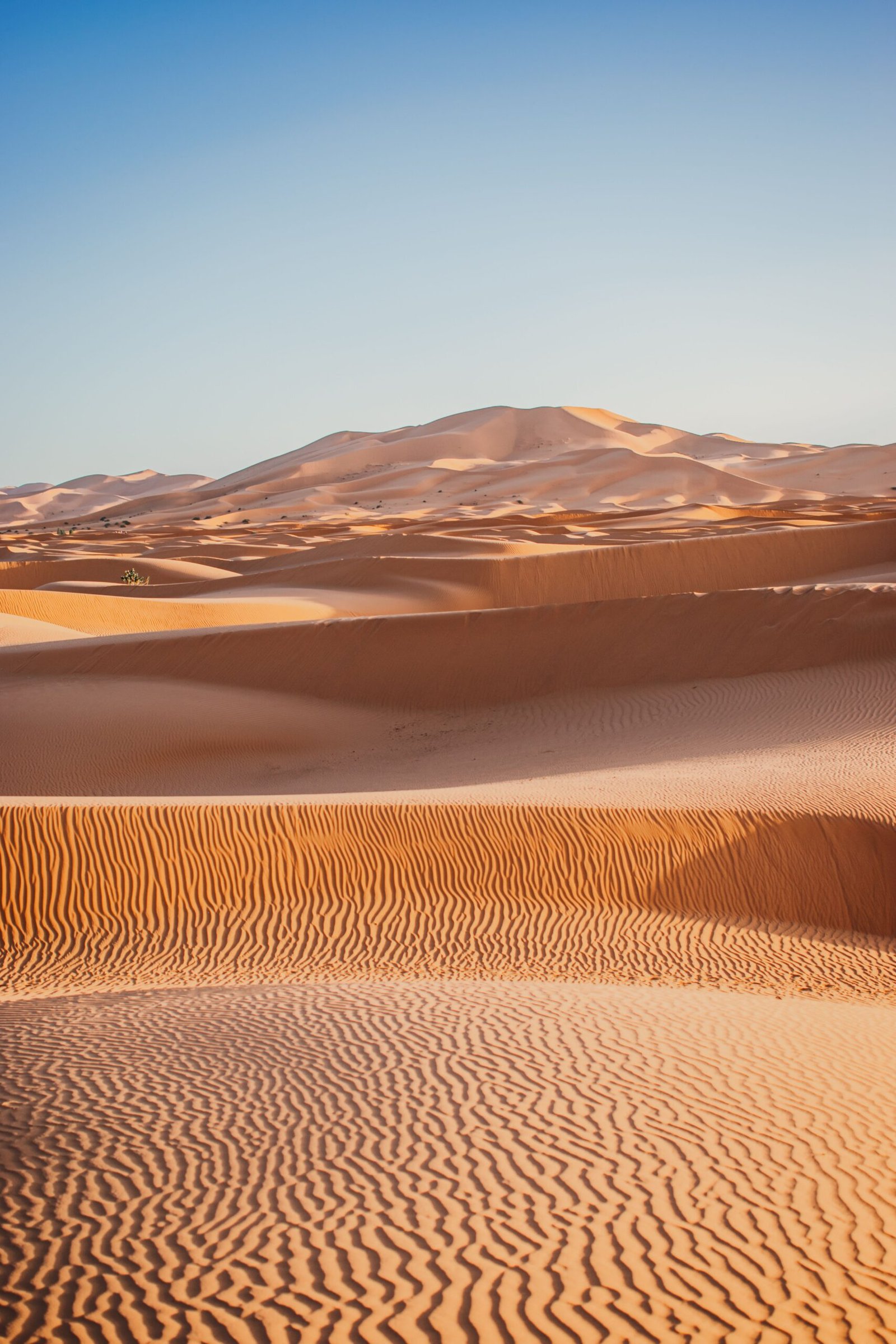 Sahara desert dunes in Morocco