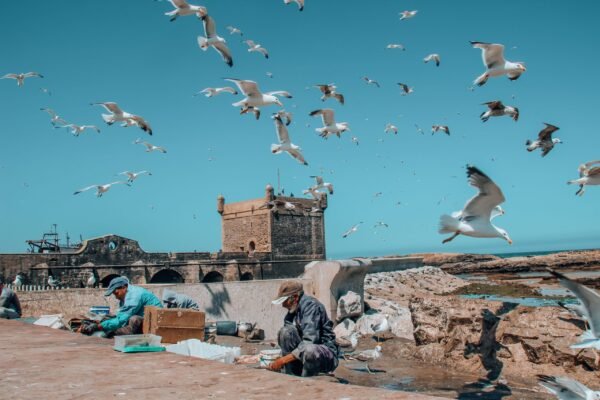 From Marrakech: Essaouira Coastal Private Day Trip
