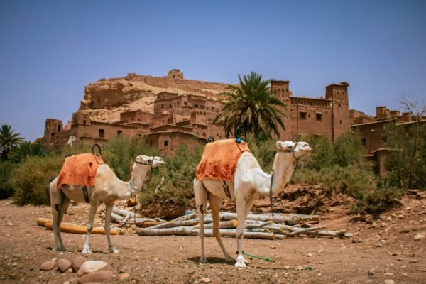 From Marrakech: Aït Ben Haddou & Ouarzazate Private Day Trip