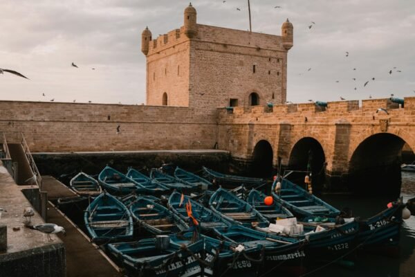 From Marrakech: Essaouira Coastal Private Day Trip
