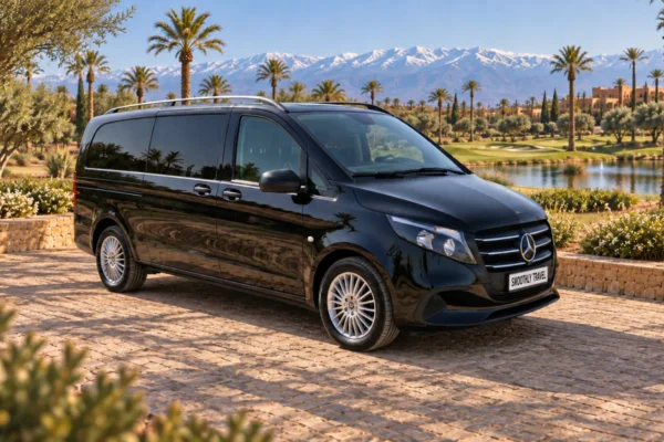 Mercedes-Benz Vito Private Chauffeur